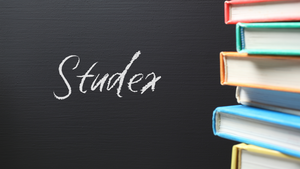 Cursuri STUDEX online cu înregistrare ușoară